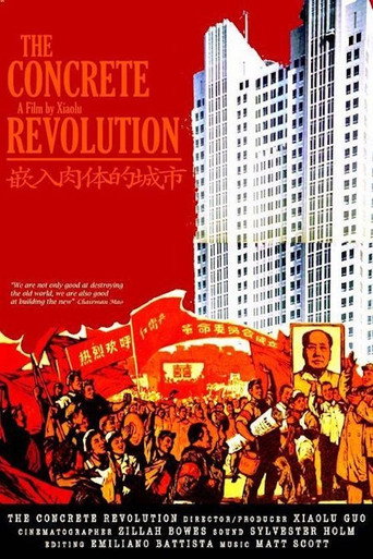 Movie poster for The Concrete Revolution (2004)