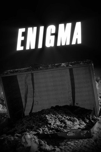 Movie poster for Enigma (2024)