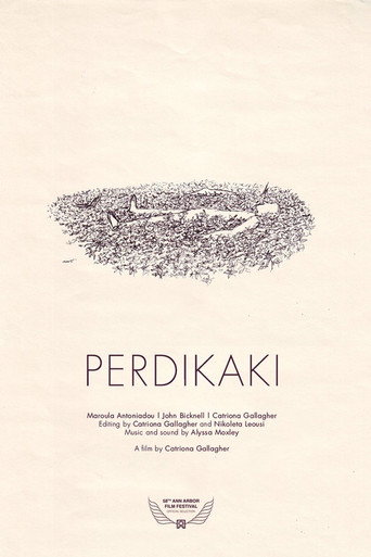 Movie poster for Perdikaki (2018)