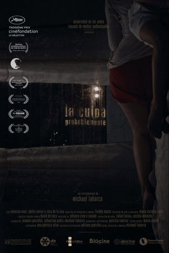 Movie poster for The Guilt, Probably (2016)