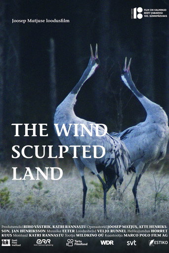 Movie poster for The Wind Sculpted Land (2018)
