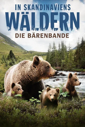 Movie poster for In Skandinaviens Wäldern - Die Bärenbande (2016)