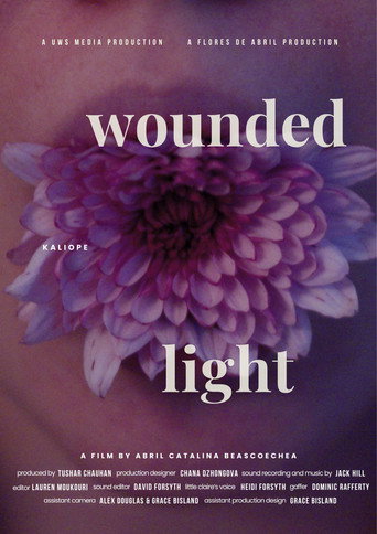 Movie poster for Wounded Light (2026)