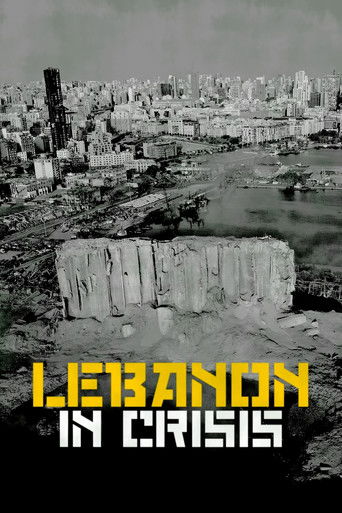 Lebanon in Crisis poster