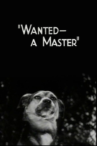 Movie poster for Wanted - A Master (1936)