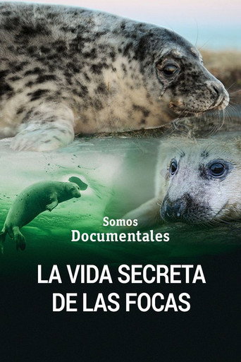 Movie poster for The Secret Life of the Seal (2022)