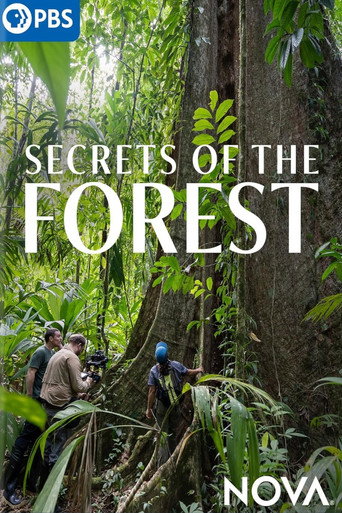 Movie poster for Secrets of the Forest