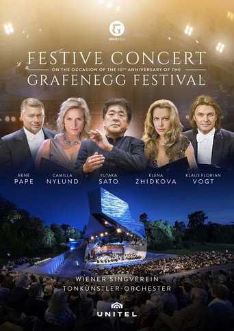 Movie poster for Festive Concert on the occasion of the 10th anniversary of the Grafenegg Festival (2017)