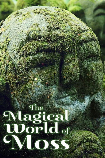 Movie poster for The Magical World of Moss (2023)