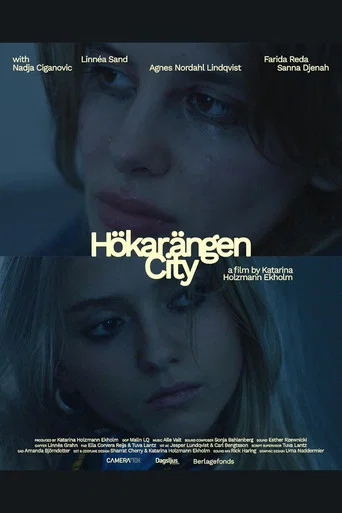 Movie poster for Hökarängen City
