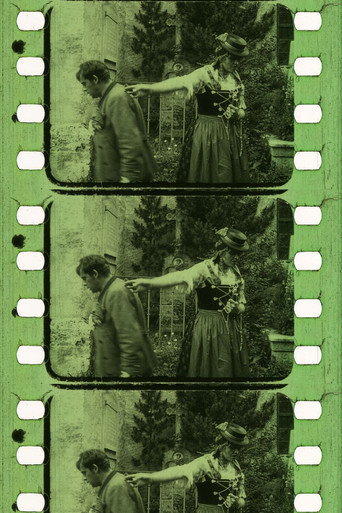 Movie poster for Der Sonnwendhof (1918)