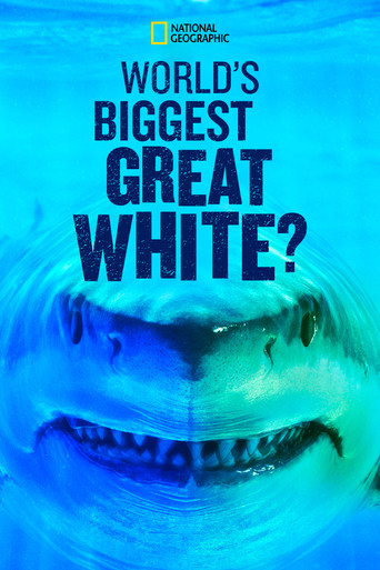 Movie poster for World's Biggest Great White? (2019)