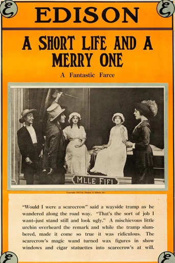 Movie poster for A Short Life and a Merry One (1913)