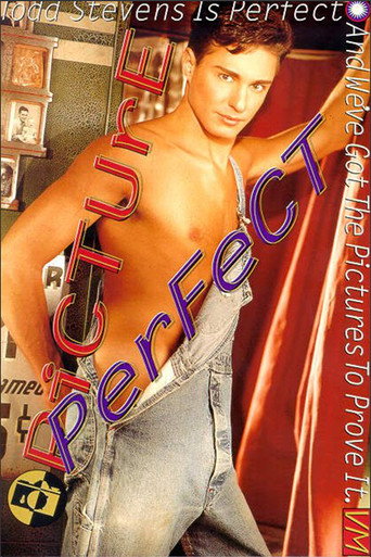 Movie poster for Picture Perfect (1996)