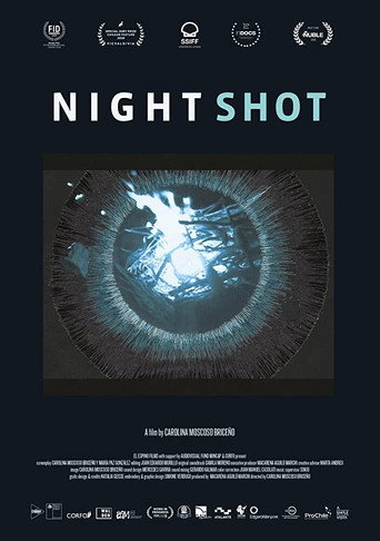Movie poster for Night Shot (2019)