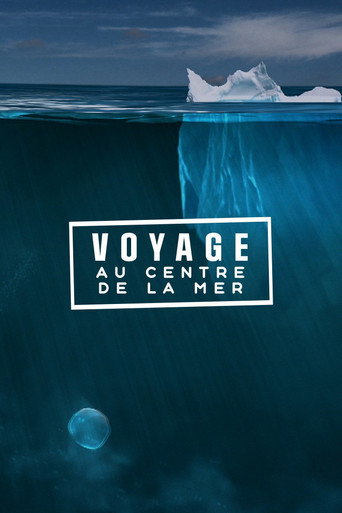 Movie poster for Voyage au centre de la mer (2013)