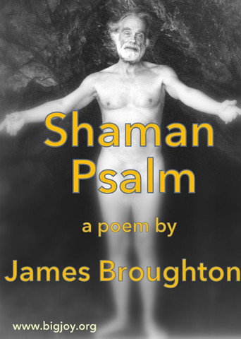 Movie poster for Shaman Psalm (1981)