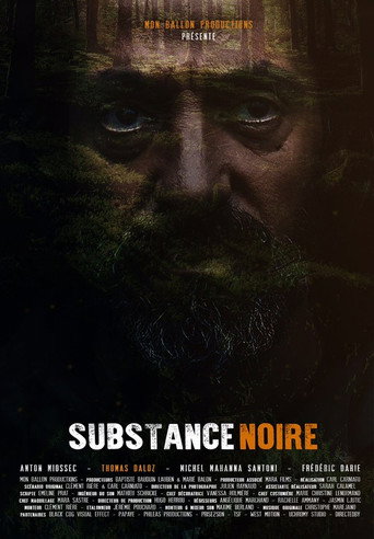 Movie poster for Substance noire (2021)