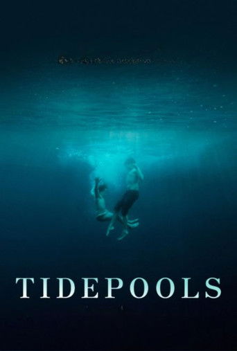 Tidepools poster
