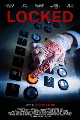 Movie poster for Locked
