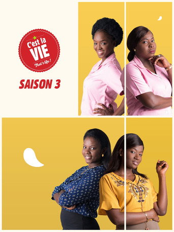 Series poster for C'est la vie ! (2015)