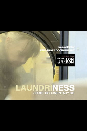 Laundriness poster