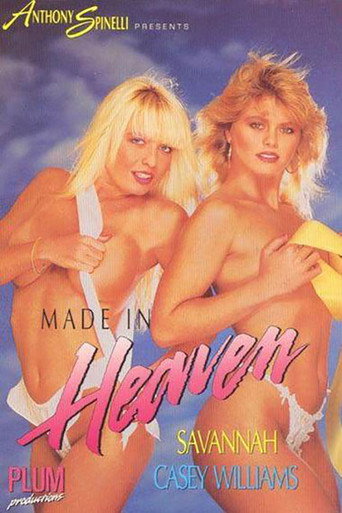 Movie poster for Made in Heaven (1991)