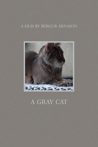 Movie poster for A Gray Cat (2021)