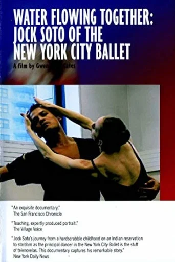 Movie poster for Water Flowing Together (2008)