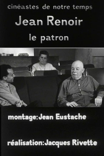 Jean Renoir, le patron, 3e partie: La règle et l'exception poster