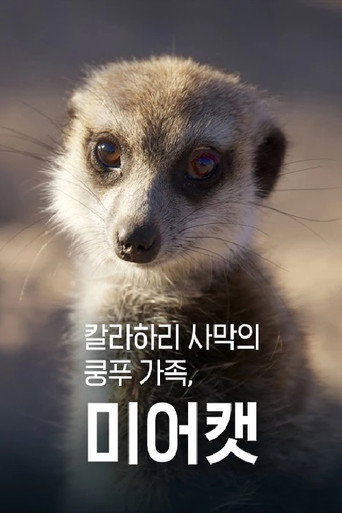 Series poster for 칼라하리 사막의 쿵푸 가족, 미어캣 (2014)