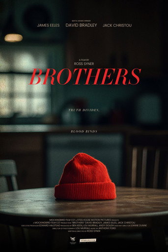 Movie poster for Brothers
