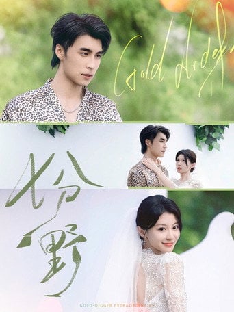 Series poster for 七分野 (2025)