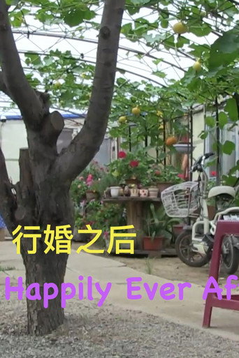 Movie poster for Happily Ever After (2016)