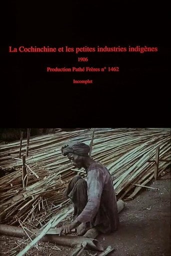Movie poster for La Cochinchine et les petites industries indigènes (1906)