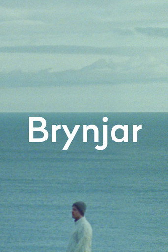 Movie poster for Brynjar (2019)
