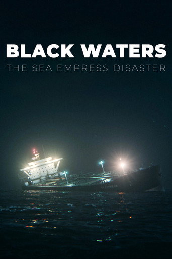 Movie poster for Black Waters: The Sea Empress Disaster (2026)