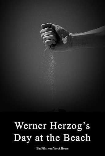 Movie poster for Werner Herzog's Day at the Beach (2025)
