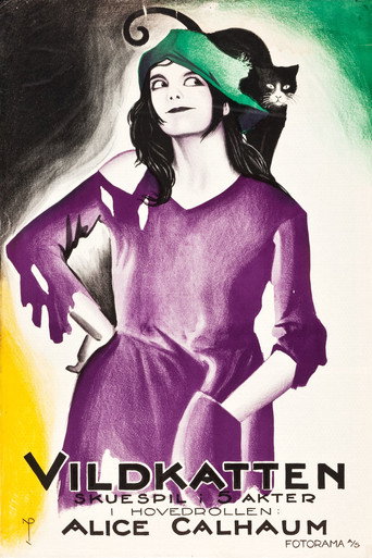 Movie poster for Little Wildcat (1922)