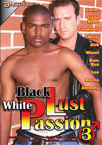 Movie poster for Black Lust White Passion 3 (2011)