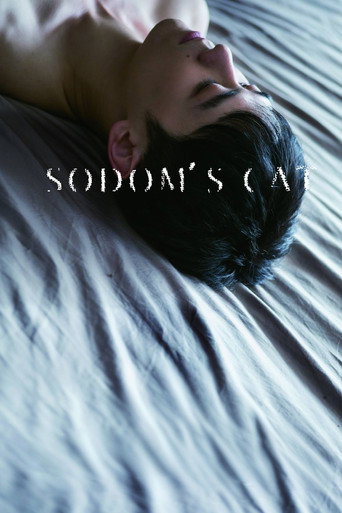 Movie poster for Sodom's Cat (2016)