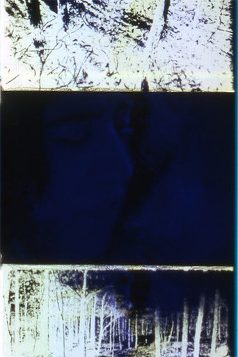 Movie poster for Later That Same Night (1971)