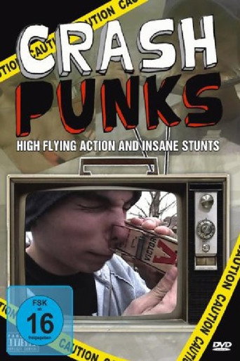 Movie poster for Crash Punks (2007)
