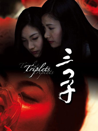 Movie poster for Triplets (2010)