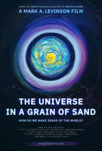 Movie poster for The Universe in a Grain of Sand (2024)