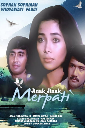 Movie poster for Jinak-Jinak Merpati