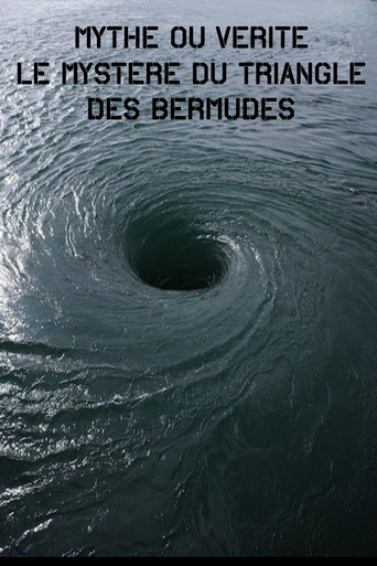 Movie poster for Mythe Ou vérité – Le Mystère Du Triangle Des Bermudes (2006)
