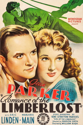 Movie poster for Romance of the Limberlost (1938)
