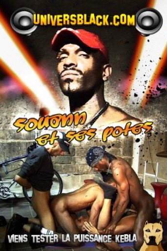 Movie poster for Souann et ses potes (2013)