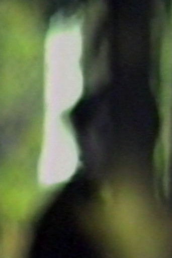 Movie poster for Totem Lesson (1989)
